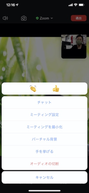 zoom詳細画面の表示
